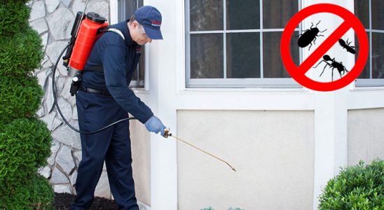Kadışehri Dezenfeksiyon böcek ilaçlama ve haşere kontrolü — ilaclama-tr.com